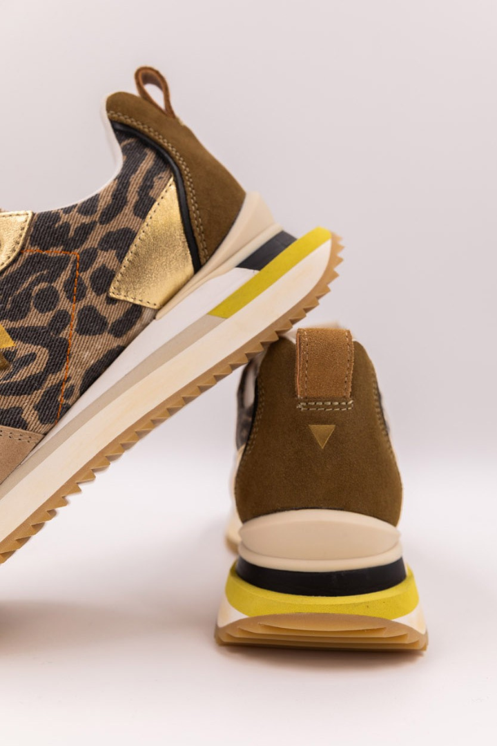 0-105 Lenox CNV Leo Trainer