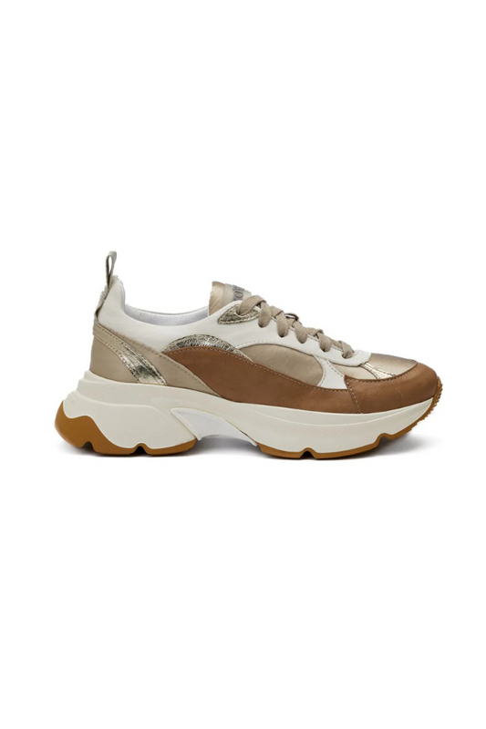 Andia Fora Big Run Multi Dream Wood Trainer