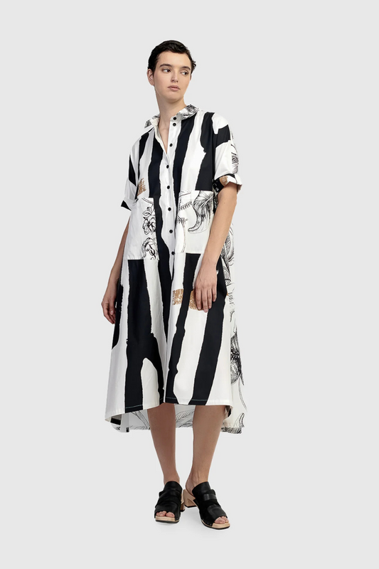 URBAN Zebra Print Shirt Dress