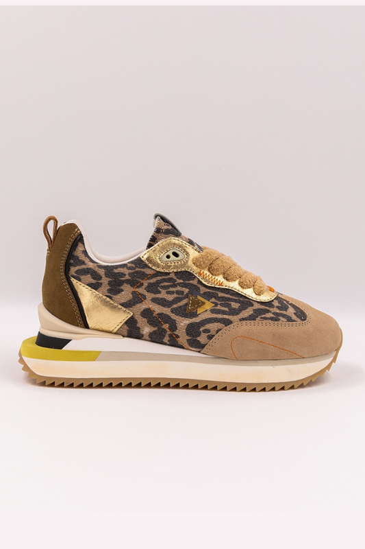 0-105 Lenox CNV Leo Trainer